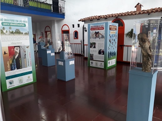 noticias-destacadas/exposicion-observando-aves-en-el-club-de-empleados-del-departamento