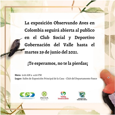 noticias-destacadas/la-exposicion-observando-aves-en-colombia-seguira-en-el-club-de-empleados-del-departamento-hasta-el-29-de-junio