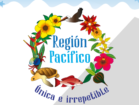 noticias-destacadas/region-pacifico--unica-e-irrepetible-------nueva-exposicion-de-inciva-el-museo-de-ciencias-naturales