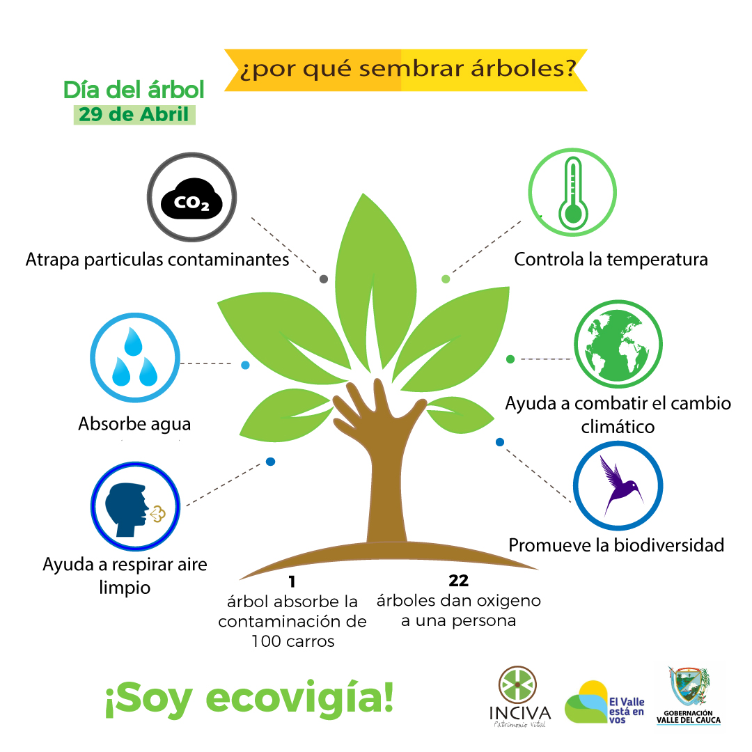 noticias-destacadas/29-de-abril--dia-del-arbol