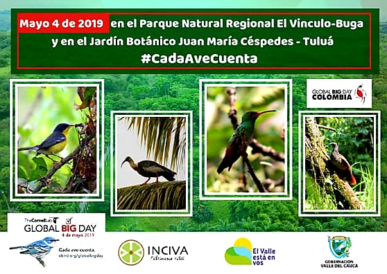 noticias-destacadas/inciva-participa-en-el-global-big-day-2019